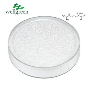 Wellgreen – échantillons gratuits Offres Spéciales de suppléments concentrés de protéines de lactosérum en poudre, produits de soins de santé pour adultes HPLC