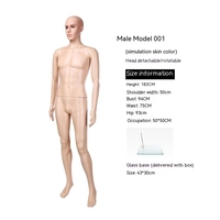 Vente en Gros Mannequins Masculins en Plastique, Couleur Chair, Corps Entier, aux Formes Généreuses, Réalistes pour Costumes, Mannequin Homme à Prix Économique