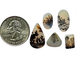 AAA Science Naturel Dendrite Sajar Cristal de Guérison Lisse de Haute Qualité pour Bijoux Pendentif Fabrication de Pierres Précieuses Prix de Gros - Product Image 1