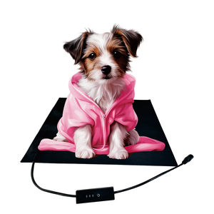 Alfombra Inteligente para Mascotas con Sensor de Presión, Encendido/Apagado Automático, Calefacción Infrarroja de Grafeno Suave y Delgada, Diseño Impreso, Uso en Exteriores, 5V/12V/24V, Directo de Fábrica - Product Image 2