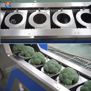 Ligne de production industrielle de légumes surgelés : machine de découpe, lavage, blanchiment, séchage et congélation du brocoli - Product Image 4