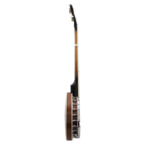 IRIN IRIN5 Instrumento Étnico Occidental Banjiu Qin de 5 Cuerdas, Material PVC Avanzado REMO BJ-504 - Product Image 5