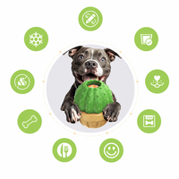 Jouet distributeur de friandises pour chien en forme de cactus, jouet à mâcher en nylon pour chien avec fibres de bois de café, puzzle remplissable