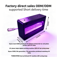 LED UV Ink Curing Lamp for UV Printing and Digital Printer Machines 395NM Ultraviolet Lamp Curing 80*25 MM Lamp Uv UV Lamp