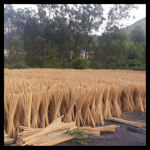 Escoba Desechable de Madera de Eucalipto Ecológica de la Marca KEGO, con Revestimiento de PVC, Fabricada en Vietnam, Gran Venta - Product Image 1