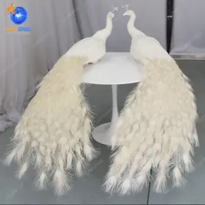 LDJ957优雅美丽的大孔雀户外婚礼装饰白色孔雀婚礼宴会舞台装饰