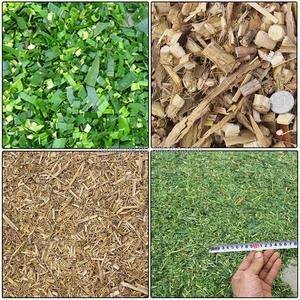 Nuova Macchina Taglia Foraggio in Metallo 220V ad Alta Produttività per la Produzione di Mangimi per Pollame e Bovini, Trituratore di Erba, Cipper per Insilato, Fieno e Foraggio - Product Image 6