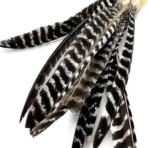 鹰尾羽天然羽毛笔装饰DIY工艺品材料配件 - Product Image 2