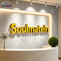 Enseigne LED personnalisée en acrylique, éclairée par l'avant, lumineuse, pour décoration murale professionnelle, avec transformateur et prise télécommandée, pour salons, instituts de beauté, bureaux et maisons