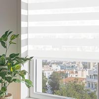 Tende Verticali Elettriche Oscuranti Impermeabili Zebra con Design Moderno per Finestre alla Francese, Hotel e Uffici