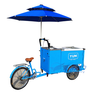 Three-Wheel Ice Food Car Front Freezer Street Food Freezer Bike - Product Image 1