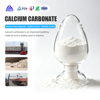 Poudre de Carbonate de Calcium Lourd (CaCO3) 1250 Mesh Ultrafin Blanc – Remplissage pour Plastiques, Peintures et Adhésifs