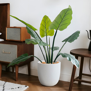 Albero Artificiale di Philodendron Erubescens in Plastica Verde Smeraldo, Leggero e di Alta Qualità, dall'Aspetto Naturale che Aggiunge Bellezza - Product Image 3