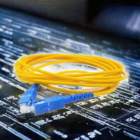 Kabel Patch Cord Fiber Optik Simplex YTOPTO FTTH SC LC ST FC UPC Single Mode dengan Konektor Keramik, Kabel Fiber 5G POE IP OEM Custom