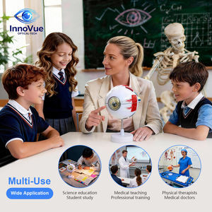 Modelo de Anatomía Ocular Artificial InnoVue IE-02 - Equipo de Educación en Optometría para Optometristas y Profesores de Ciencias de la Visión - Product Image 5