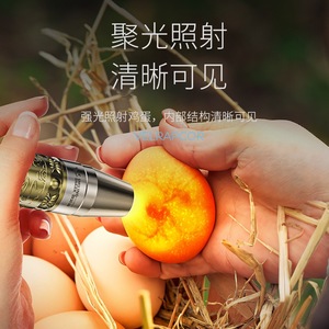 ไฟฉายตรวจสอบไข่ปลาฉลามยิ้มรุ่น ZY-D213 ไฟ LED สามสี พกพาสะดวก แสงสว่างแรง สำหรับการฟักไข่ - Product Image 1