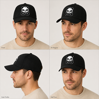 Gorra de Béisbol Minimalista con Bordado de Cresta de Panda, de Algodón Estructurado, Visera Curva, Ajustable con Cierre a Presión, para Moda Urbana y Venta Minorista
