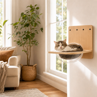 Niche murale transparente pour chat en acrylique avec panier en contreplaqué de bouleau, pliable, facile à assembler, gain de place pour l'intérieur
