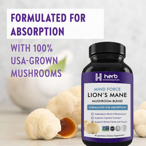 Nhãn hiệu riêng dành cho người lớn nootropics não bổ sung sư tử của bờm nấm chiết xuất Gummies cải thiện khả năng miễn dịch Bộ nhớ & năng lượng - Product Image 6