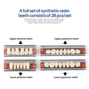 ฟันปลอม28ชิ้น/กล่องคอมโพสิตฟันสังเคราะห์เรซินฟันปลอมปลอม - Product Image 4