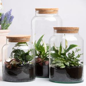 AGG68 Esschert-Design dekoratives halböffnete Flasche mini kleines <span class=keywords><strong>Terrarium</strong></span> Großhandel Versorgung Pflanzen <span class=keywords><strong>Terrarium</strong></span> mit Korkdeckel - Product Image 1