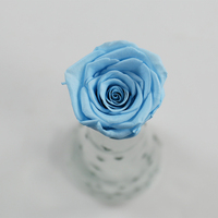 Vente d'usine : Roses éternelles au toucher réel, 5-6 cm, fleurs préservées en boîtes pour la Fête des Mères, la remise des diplômes et Noël