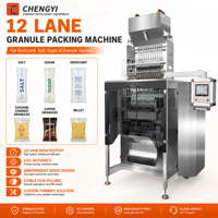 Machine d'emballage automatique CE 12 lignes pour sachets de sucre 5g, machine de remplissage multi-voies à scellage arrière pour granulés de sucre en bâtonnets