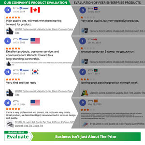 الشركة المصنعة لكابل IGOTO علاقات بسحاب نايلون قفل ذاتي PA66 + نايلون + كابل + روابط - Product Image 5