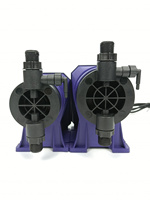 Pompa Dosis Kolam Renang Tipe Filter 15L/H untuk Penambahan Klorin dan PH