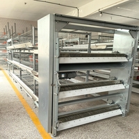 Système de cages à poulets en couches de type H haute densité pour l'équipement moderne de production d'œufs avicoles