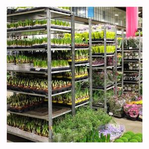 नवीनतम डिजाइन ग्रीनहाउस उद्यान रोलिंग नर्सरी संयंत्र परिवहन धातु रैक और गाड़ियां - Product Image 1