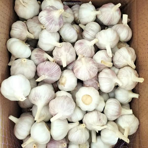 <span class=keywords><strong>Ajo</strong></span> Blanco Puro y Fresco Natural en Venta a Bajos Precios 5.0cm 5.5cm Fábrica de <span class=keywords><strong>Ajo</strong></span> Jining - Product Image 3