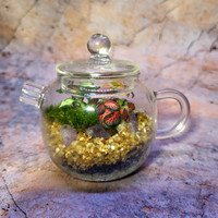 Jardinière de terrarium en verre transparent de forme moderne théière adaptée aux bonsaïs couverture de dôme en verre coloré décor à la maison pour jardin succulent