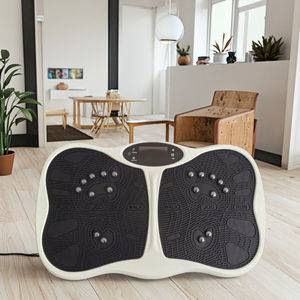 新しいミニボディ振動機プレートボディシェイパー振動マッサージ暖房とEMS電気治療機能付き - Product Image 2