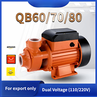 Pompa Booster Vortex QB60 QB70 QB80 110V 220V Tekanan Air Keran CP158 Air Bersih OEM Garansi 1 Tahun