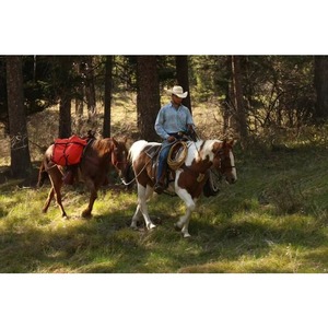 Sacoche de selle BSCI ornée d'accessoires pour l'équitation anglaise et western avec porte-bouteille et porte-repas, sacoche de moto - Product Image 5