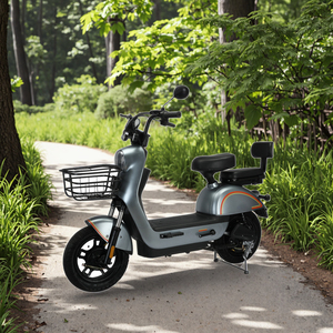Gran oferta, fábrica de China, bicicleta eléctrica de 3 ruedas, motocicleta eléctrica barata, bicicleta eléctrica, Scooter Eléctrico de 350W, 500W, <span class=keywords><strong>1000W</strong></span> - Product Image 1