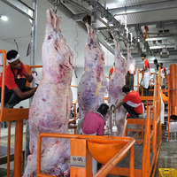 Maquinaria para Mataderos a Precio de Fábrica, Línea de Sacrificio de Ganado Vacuno y Ovino, Equipo para Mataderos
