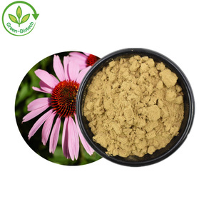 <span class=keywords><strong>Echinacea</strong></span> <span class=keywords><strong>Purpurea</strong></span> móng tay chiết xuất thảo mộc bột <span class=keywords><strong>Echinacea</strong></span> <span class=keywords><strong>Purpurea</strong></span> - Product Image 3