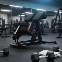 Banc de musculation commercial en acier Q235 avec dossier, chaise romaine, vente directe usine