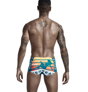 Short <span class=keywords><strong>de</strong></span> plage le plus récent pour homme, boxeur <span class=keywords><strong>de</strong></span> natation populaire, maillot <span class=keywords><strong>de</strong></span> <span class=keywords><strong>bain</strong></span> imprimé OEM ODM - Product Image 4