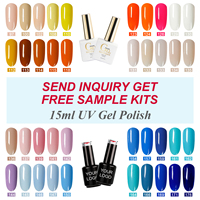 Kit professionnel de vernis à ongles Gel 3000 couleurs pour les fournisseurs de salon de manucure Non toxique Soak Off No Hema Gel Polish