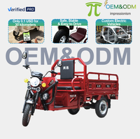 Tricycle électrique pour adultes IMP 2026 OEM 60V à carrosserie ouverte, batterie au plomb-acide, capacité de charge de 400 kg, freins à disque avant et autonomie de 90 km