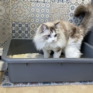 Caja de arena abierta extra grande y única para gatos, gris, con lados altos y bandeja profunda, para Maine Coon y Ragdoll - Product Image 2
