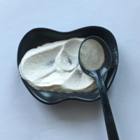 Aide au traitement des plastiques : Erucamide 99% pour le moulage par injection, le film soufflé et les matériaux d'emballage