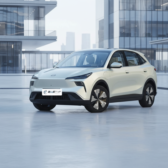 HOT SALE Yueyi 03 2025 565km Changxiang Edition 5 Door 5 Seater SUV Pure Electric Vehicle