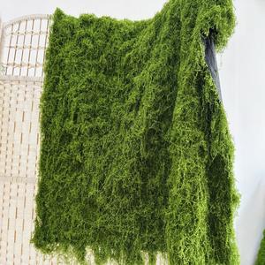 Tapis de <span class=keywords><strong>mousse</strong></span> en plastique de gazon de <span class=keywords><strong>mousse</strong></span> verte artificielle plantes réalistes mur de <span class=keywords><strong>mousse</strong></span> sol de paysage de jardin pour la décoration de restaurant - Product Image 6