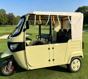 EEC COC Tows E <strong>Trike</strong> Passenger EEC Electric Passenger Tricycle TUKTUK Factory Direct <strong>Sale</strong> - Product Image 2