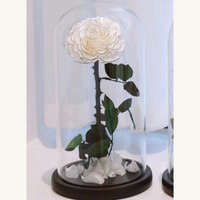 Rose éternelle personnalisée, fleur naturelle préservée, roses blanches éternelles faites à la main, cloche en verre, Halloween, remise de diplôme, respectueux de l'environnement