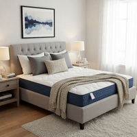 Expédition rapide, fourniture directe d'usine, matelas en mousse Lit Matelas taille Queen pour soulager les maux de dos, prix de gros direct d'usine OEM